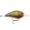 13 Fishing Cliff Banger -Outlet Fishing Store 2 day old guac 1