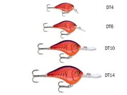 Rapala DT Series -Outlet Fishing Store dtsizechart