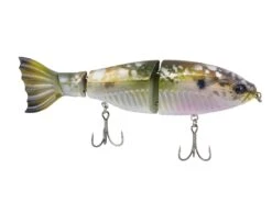 Googan Squad Limited Edition Jekyll Contender -Outlet Fishing Store googansquad shimmershad contender 10 01 ggs 10016h