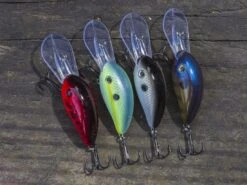Strike King Pro Model 3XD -Outlet Fishing Store lifestyle 3xd 01