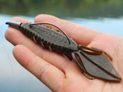 X Zone Lures Pro Series Adrenaline Bug -Outlet Fishing Store lifestyle adrenaline andrewnordbye 01