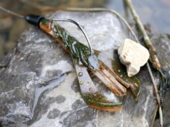 Karl's Amazing Baits Hoss Craw 3.8" -Outlet Fishing Store lifestyle hosscraw andrewnordbye 02