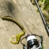 Karl's Amazing Baits Hustler Worm -Outlet Fishing Store lifestyle hustlerworm 04
