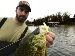 Z-Man Micro TRD -Outlet Fishing Store lifestyle microtrd zman glowchartreuse 1