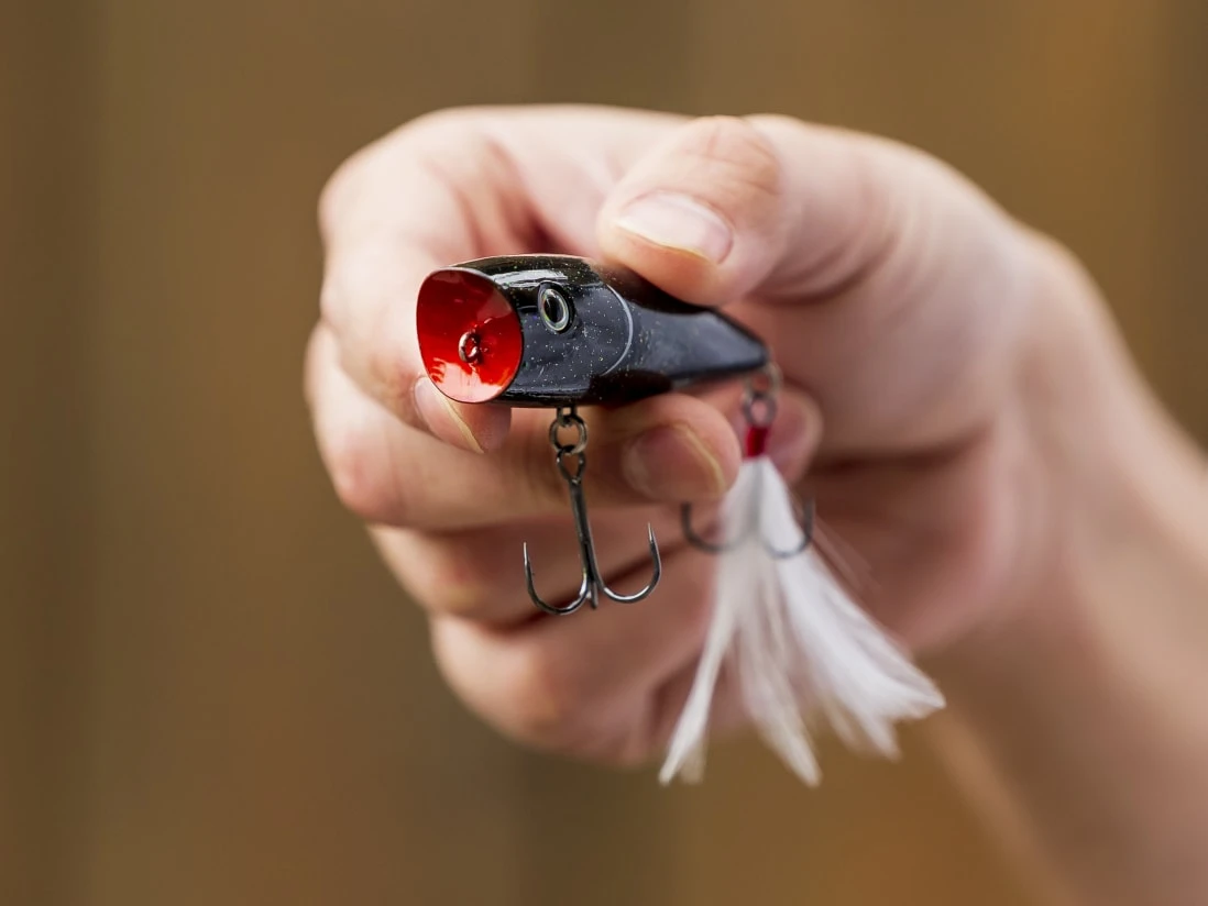 Strike King KVD Splash Popper 4 Strike King KVD Splash Popper - Image 2