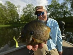 Z-Man Tiny Ticklerz 15 Z-Man Tiny Ticklerz -Outlet Fishing Store lifestyle tinyticklerz zman fishhand 1