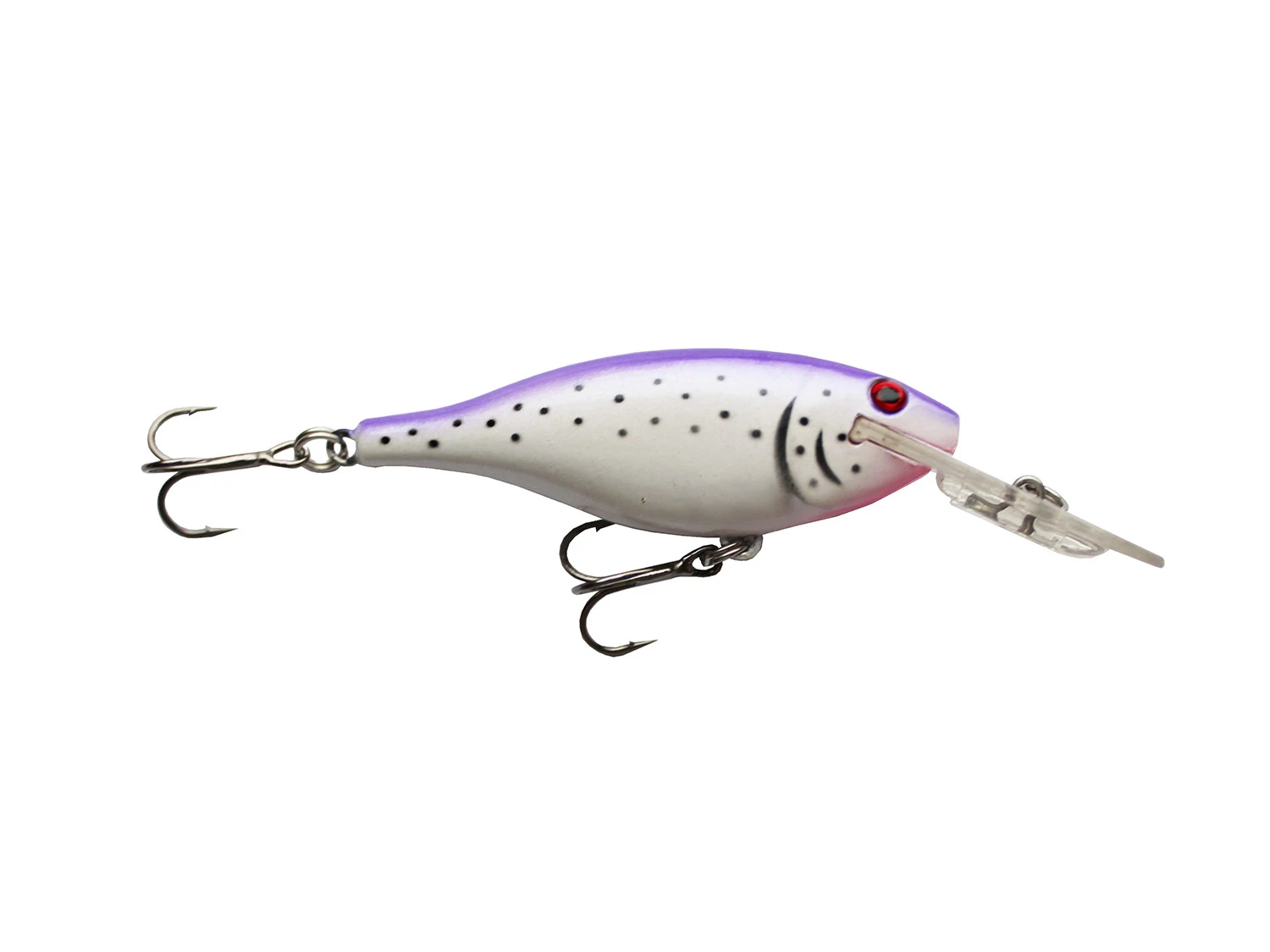 Vexan LIL-Super Cisco 3 Vexan LIL-Super Cisco