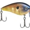 Strike King KVD 2.5 Wake Bait 2 Strike King KVD 2.5 Wake Bait -Outlet Fishing Store strikeking bluegill kvdwakebait 10 01 stk 10015a 1