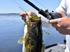 Fitzgerald Fishing VLD 10 Baitcasting Reel -Outlet Fishing Store vldlifestyle